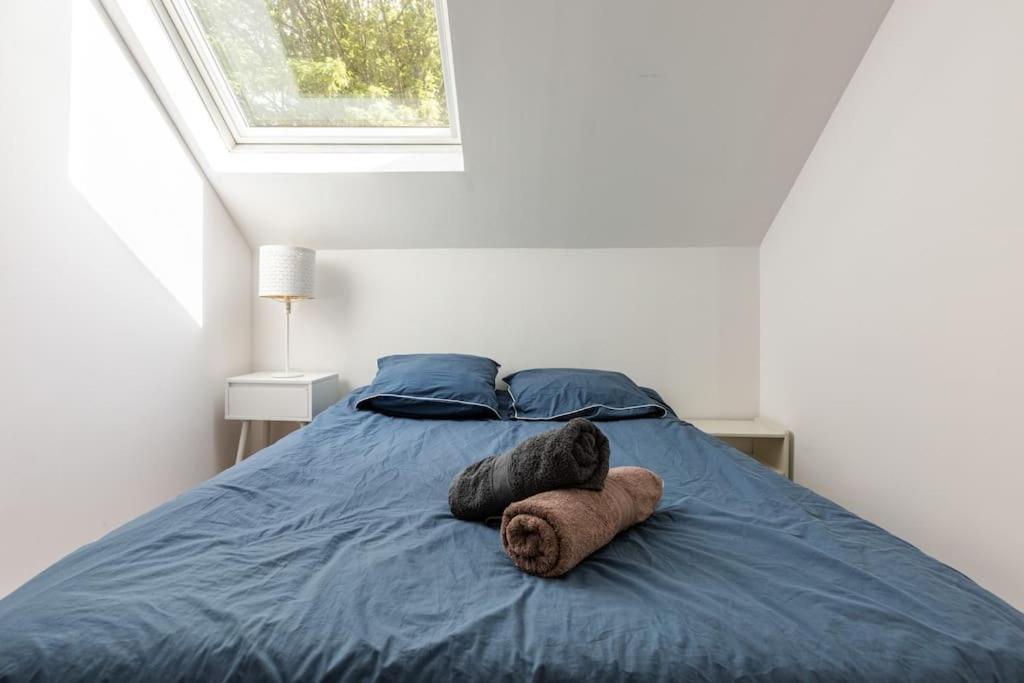 Duplex Du Biplan * Lille
